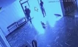 Kediye tekme attı, o anlar kameraya yansıdı