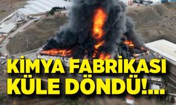 Kimya fabrikasındaki yangına müdahale sürüyor