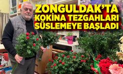 Zonguldak’ta kokina tezgahları süslemeye başladı