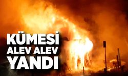 Kümesi alev alev yandı, karşısına geçip "Canımız sağ, ben de yanabilirdim" dedi