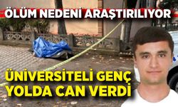 Yolda ölü bulunan genç üniversite öğrencisi olduğu ortaya çıktı