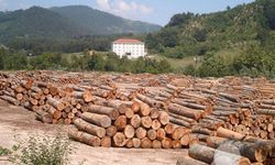 Kdz. Ereğli Orman İşletme Müdürlüğü İstifleme İşleri Yaptıracaktır