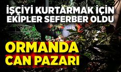 Orman işçisi için ekipler seferber oldu