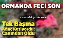 Ormanda feci son! Kestiği ağacın altında hayatını kaybetti
