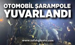 Otomobil şarampole yuvarlandı: 1 yaralı