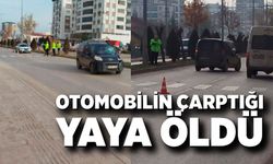 Hafif ticari aracın çarptığı yaya hayatını kaybetti