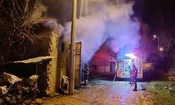 Samanlıkta çıkan yangında 5 koyun telef oldu