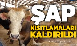Şap kısıtlamaları kaldırıldı