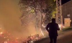 Sazlık alandaki yangın söndürüldü: Bir sera zarar gördü