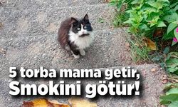 5 torba mama getir, Smokini götür!