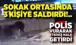 Sokak ortasında 3 kişiye saldırdı; Polis vurarak etkisiz hale getirdi