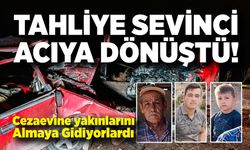 Tahliye Edilen Yakınlarını Almaya Giderken Can Verdiler