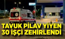 Tavuk pilav yiyen 30 işçi zehirlendi