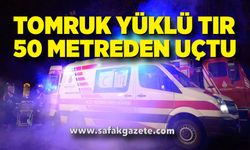 Tomruk yüklü tır 50 metreden uçtu: 1 yaralı