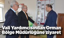 Vali Yardımcısından Orman Bölge Müdürlüğüne ziyaret