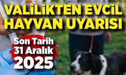 Valilikten evcil hayvan sahiplerine son uyarı