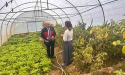 Tarım Orman Müdürlüğü saha çalışmalarını gerçekleştirdi