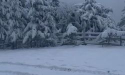 Bolu'da kış turizmine yapay kar desteği