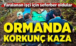 Ağaç keserken yaralanan işçi için seferber oldular