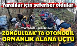 Zonguldak'ta otomobil ormanlık alana uçtu; Yaralılar var