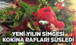 Yeni yılın simgesi Kokina rafları süsledi