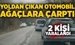 Yoldan çıkan otomobil ağaçlara çarptı: 2 yaralı