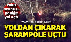 Otomobil şarampole uçtu; Devrilen araçtaki yakıt sızıntısı tehlike yarattı