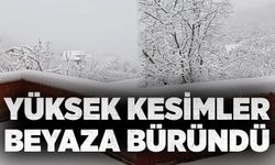 Zonguldak'ta etkisini gösterdi: Yüksek kesimler beyaza büründü