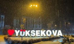 Yüksekova’da lapa lapa kar yağışı