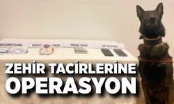 Jandarmadan zehir tacirlerine operasyonu