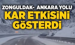 Zonguldak–Ankara yolunda kar etkisini gösterdi