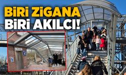 Biri Zigana, Biri Akılcı!