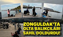 Zonguldak’ta olta balıkçıları sahili doldurdu!
