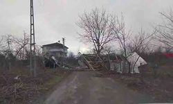 Ağaçları kökünden söktü, barakaları devirdi