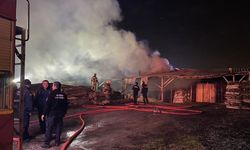 Ahşap palet fabrikasındaki yangın kontrol altına alındı
