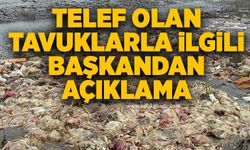 Belediye’den net yanıt: “İçme suyunda risk yok”