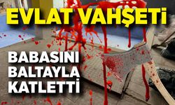 Miras kavgası kanla bitti: Baba baltayla öldürüldü