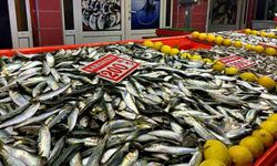 Balık tezgahlarını fırtına vurdu: Çeşitlilik azaldı