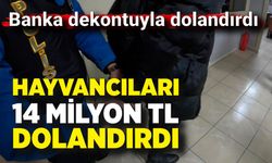 Sahte Dekontla 14 Milyonluk Hayvan Vurgunu: 1 Tutuklama
