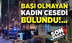 Dehşet: Çöp konteynerinde başı olmayan kadın cesedi bulundu