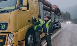 Bolu’da yüklü araçlara orman denetimi