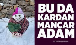 Bu da kardan mancar adam