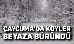 Çaycuma'da köyler beyaza büründü