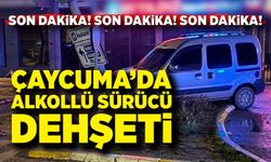 Çaycuma’da alkollü sürücü dehşeti: Refüje çıktı, direğe çarptı