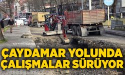 Çaydamar yolunda çalışmalar sürüyor