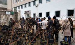 Çiftçilere modern fındık üretimi eğitimi: Vejetatif üretim ve aşılama anlatıldı