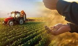Çiftçiye 1,6 Milyar Liralık Destek Hesaplara Yattı