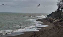 Dalgalar dalgakıranları ve sahili dövdü