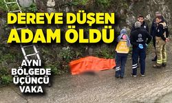 Aynı yerde üçüncü vaka; Dereye düşen adam öldü