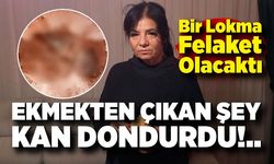 Ekmekten Çıkan Şey Kan Dondurdu